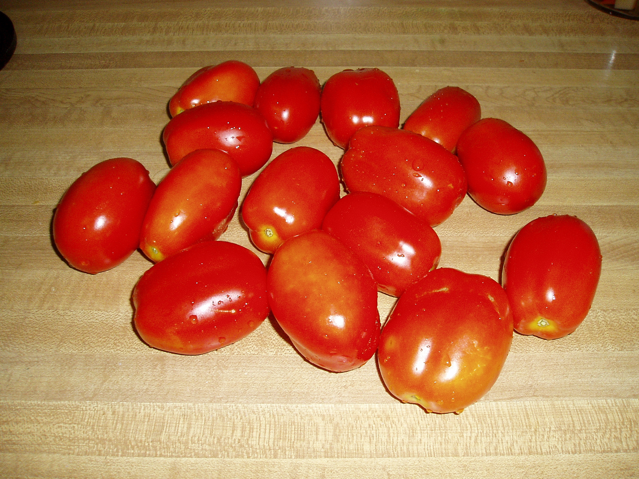 First Roma tomato harvest