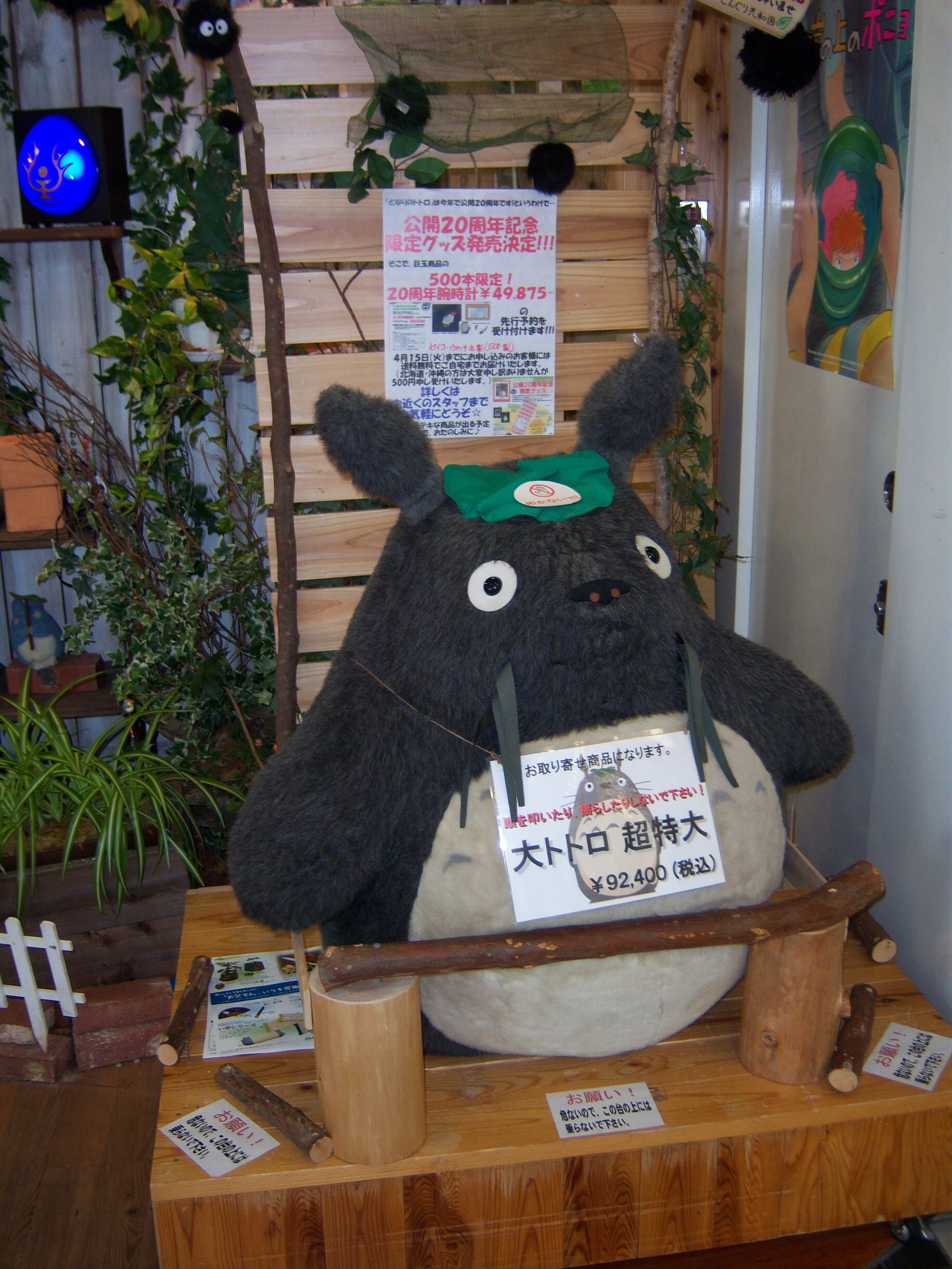 100_0250.JPG