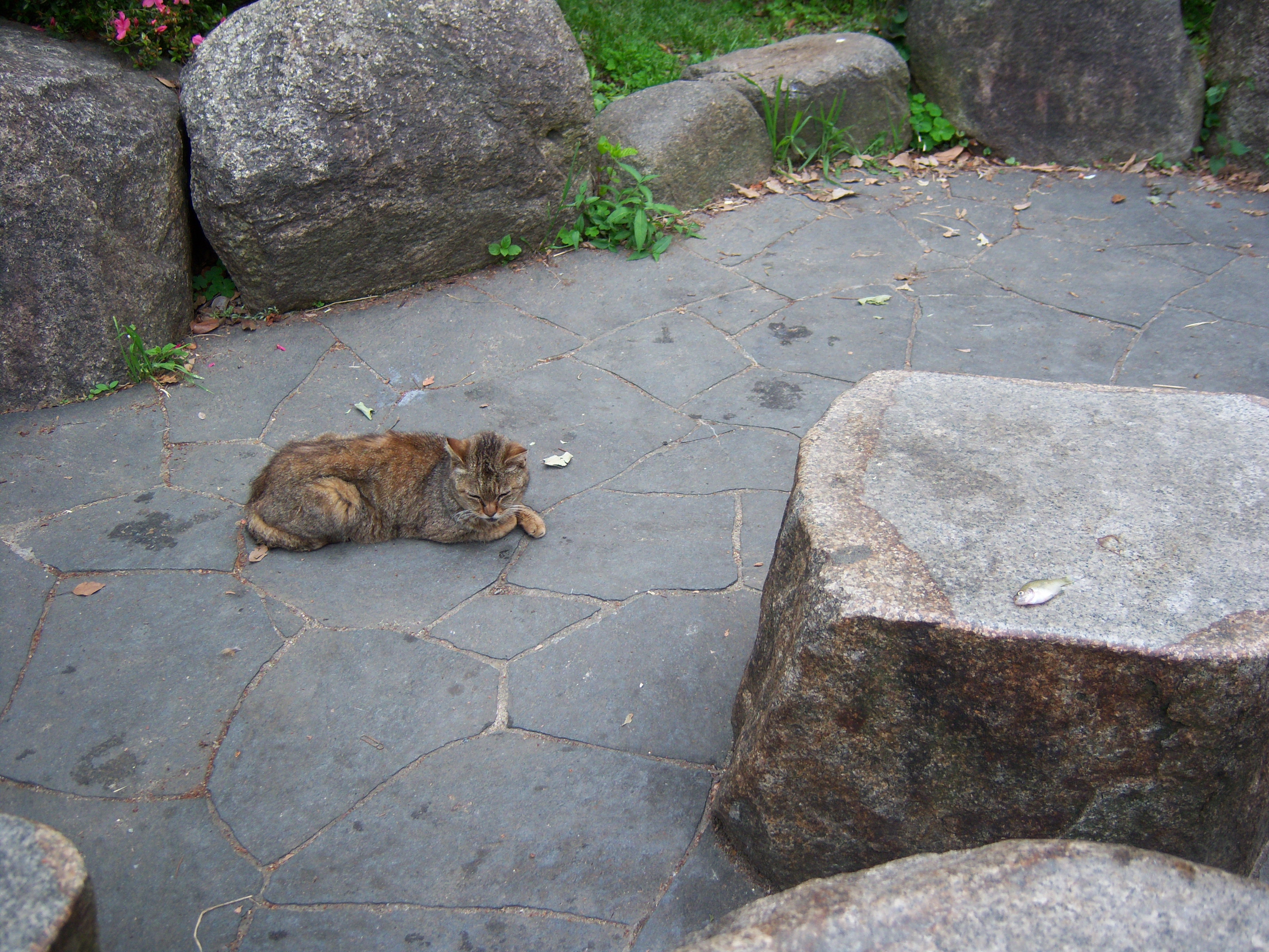100_0267.JPG