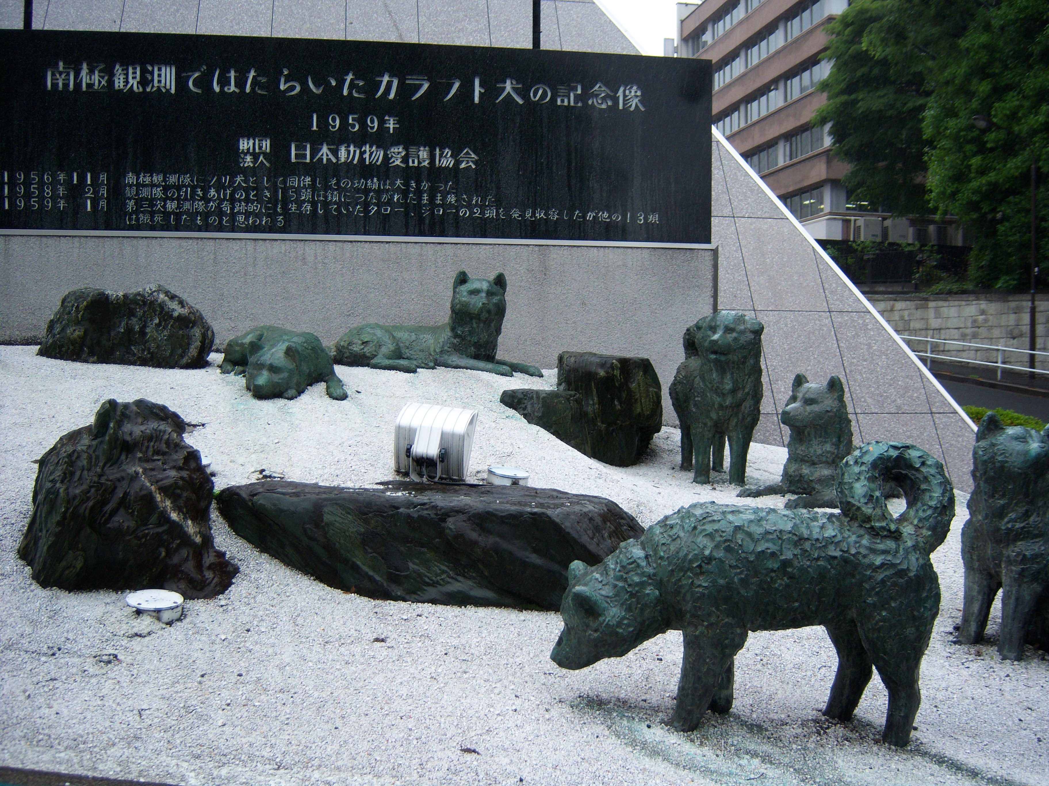100_0410.JPG