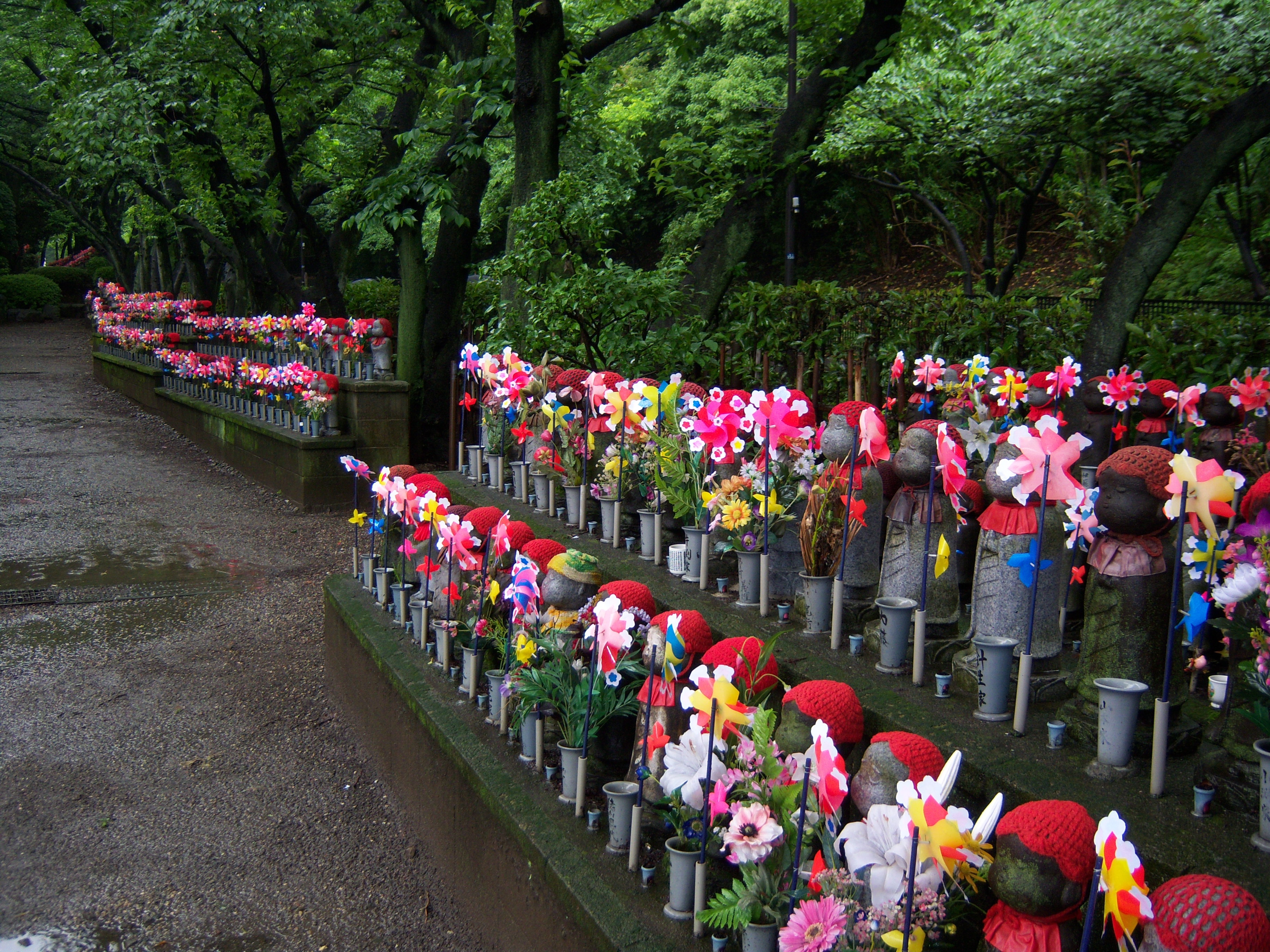 100_0414.JPG