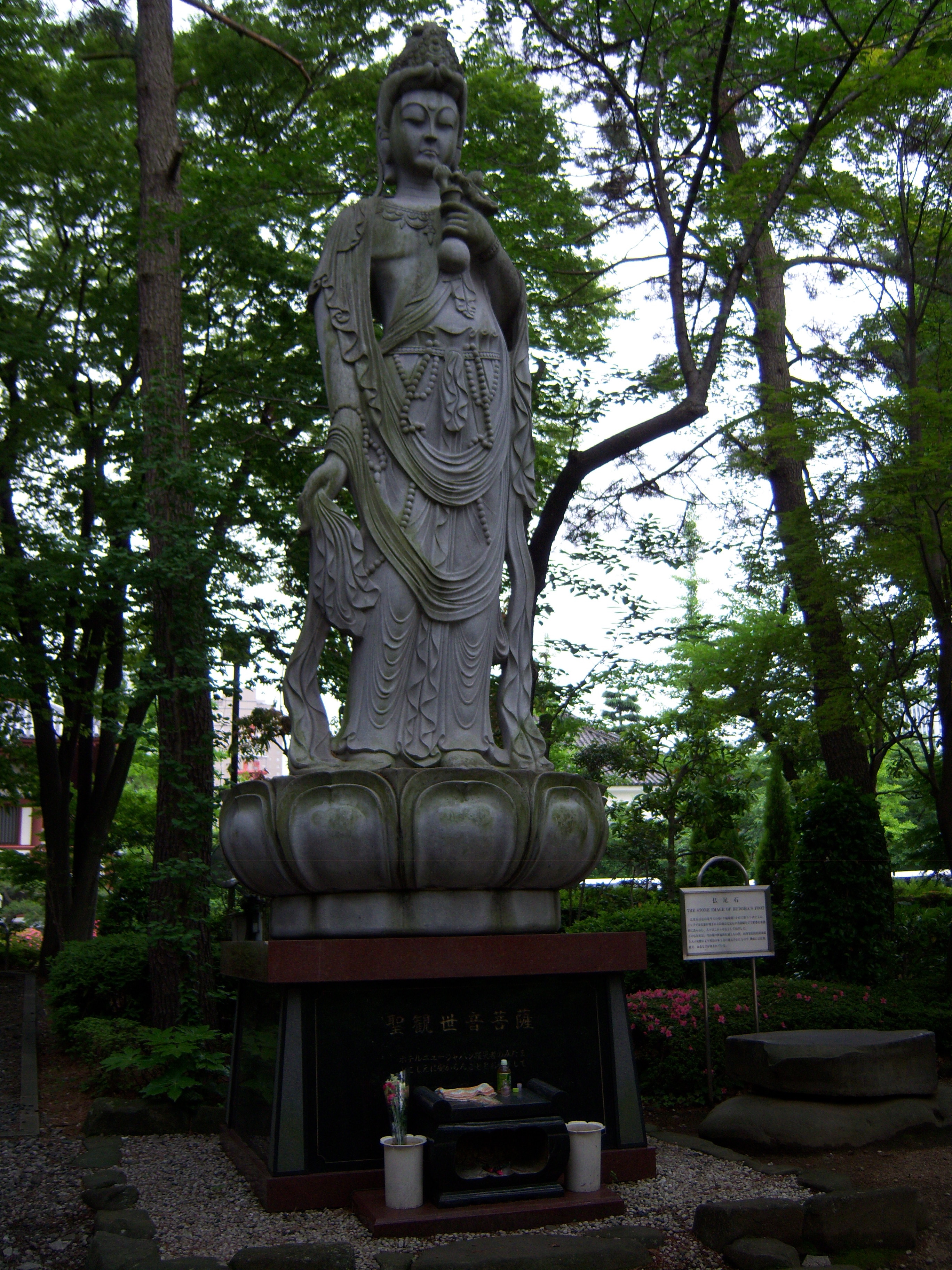 100_0426.JPG