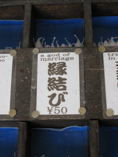 IMG_0081.JPG