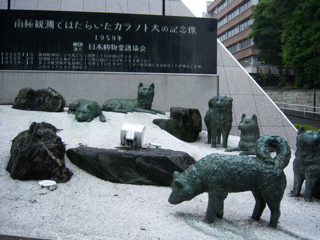100_0410.JPG