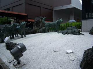 100_0411.JPG
