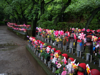 100_0414.JPG