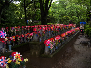 100_0415.JPG