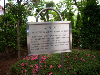 100_0432.JPG